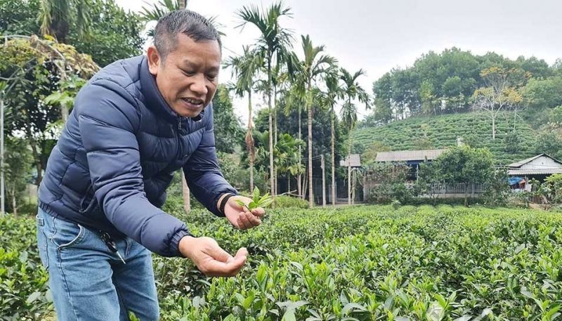 ⓒ VietnamNet ⓒ VietnamNet